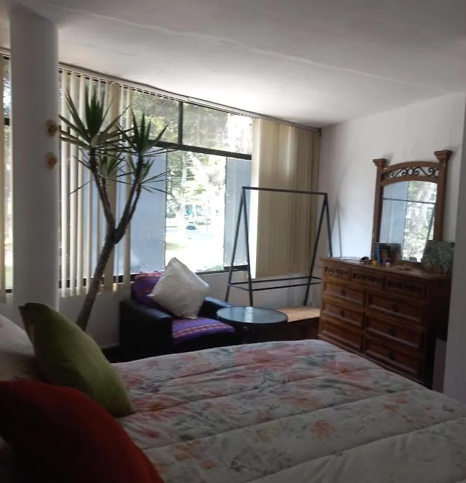 Estacion 1111 B&B Medicinal-1