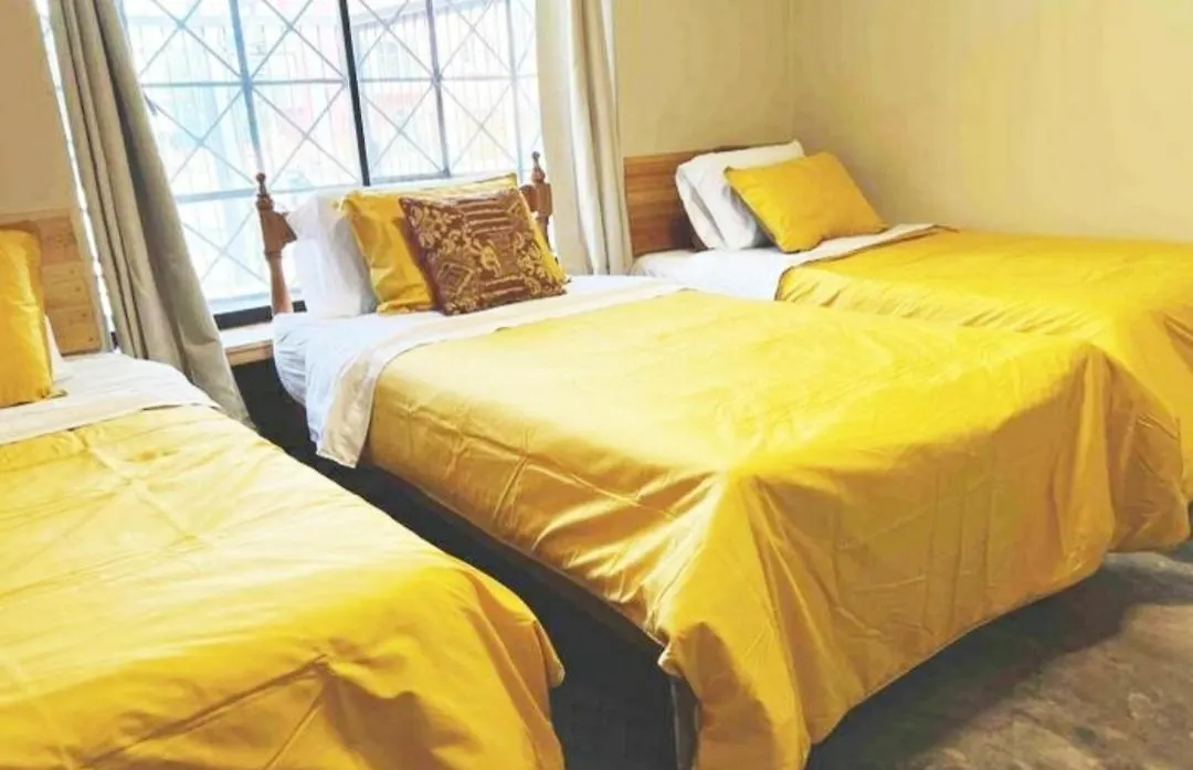 Centric, Spacious And Petfriendly Guest House In The Best Location In Lince-1