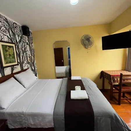 La Posada Del Rey - Lima Airport Hostel-3